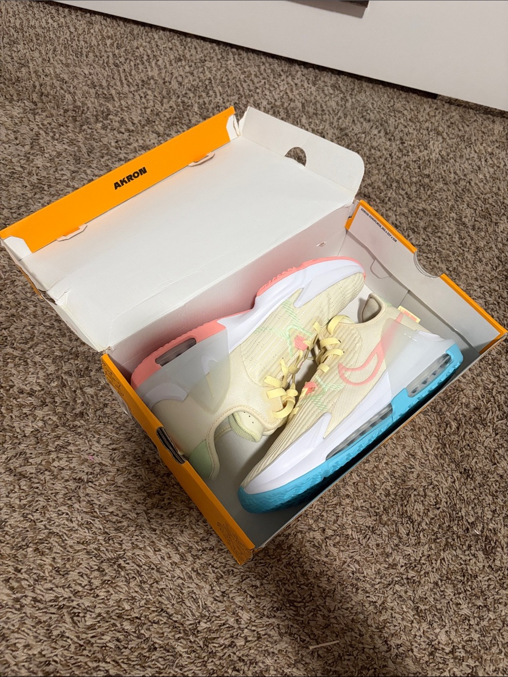 Men’s Multi-Color LeBron Witness VI